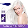 FRAMESI Color Lover Dynamic Blonde Purple Violet Shampoo for Color Treated Hair, 16.91 Fl Oz Sale