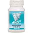 NATUREWORKS - Body Essential Silica with Calcium - 90 Capsules Sale